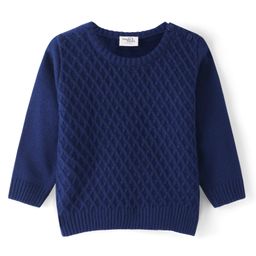 Doodle Poodle Knitted Full Sleeves Solid Colour Pullover Sweater with Cable Knit Design - Blue-image-86