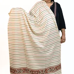 Vrinde Women Striped Printed Shawl-picture-19