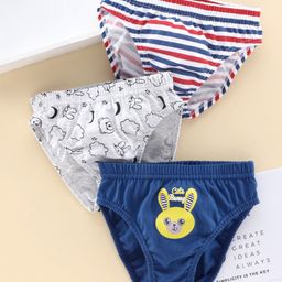 Babyhug 100% Cotton Briefs Pack of 3 - Blue Grey-image-19