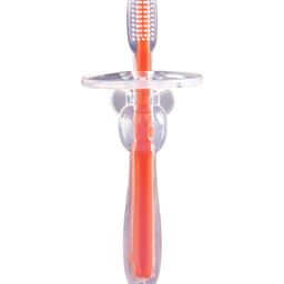 LuvLap Baby Training Toothbrush With Anti Choking Shield - Red (Colour May Vary)-image-3