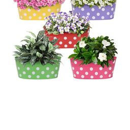 Go Hooked Pack of 5 Metal Dotted Planters for Garden Balcony Hanging Flower Pot-33