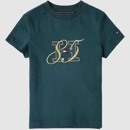 Tommy Hilfiger Boys Brand Logo Printed Round Neck Cotton T-shirt-picture-15