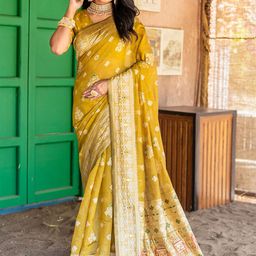 BAESD Woven Design Zari Bandhani Saree-picture-53