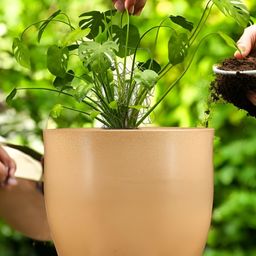 Go Hooked Brown & Green Lightweight Pluto-Shaped Planter-7