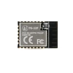 Ai-Thinker TG-12F Wi-Fi + BLE 5.0 Module image 1