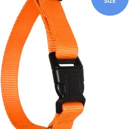 Dog Collar With Double Layer Strap Ultra Soft Mesh Adjustable Length Lightweight Dog Everyday Collar-image-57
