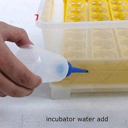 Ndeal Full-Automatic Egg Incubator | Hatcher 48 Eggs All-in-One | Transparent Eggs Hatching Machine | Chicken with 12V & 220V Duel Power by Ndeal image 3