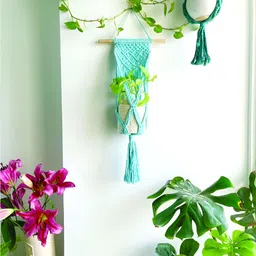 Story of Knots White & Blue Pure Cotton Macrame Wall Hanging Planter-31