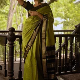 PHEASANT Solid Zari Woven Design Fashion Saree-picture-7