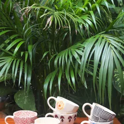 WEAVING HOMES White & Red 6 Pieces Printed Ceramic Matte Mugs-16
