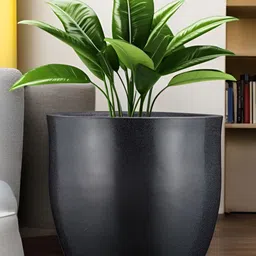 Go Hooked Black & Green Pluto-Shaped Durable Planter image 1
