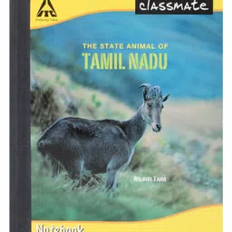 Classmate Notebook Single Line Ruling - 76 Pages-picture-11