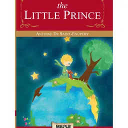 maple press The Little Prince - English-picture-6