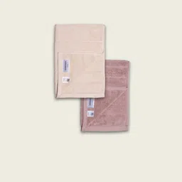 DAMENSCH Better Basic 2 Pieces Beige & Grey Cotton Super Absorbent Hand Towel 500 GSM-24