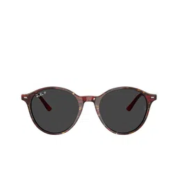 Ray-Ban Unisex Round Sunglasses with Polarised Lens 8056262314074 image 2