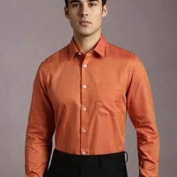 Louis Philippe Spread Collar Long Sleeves Regular Fit Pure Cotton Formal Shirt-picture-29