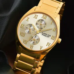 CARLOS PHILIP Men Textured Dial Analogue Watch Element RSG 17 Champ IGP-image-68