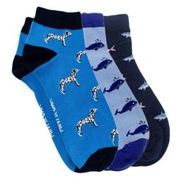 Mint & Oak Men Pack Of 3 Patterned Ankle-Length Socks image 3