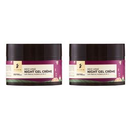 Pilgrim Set of 2 Red Vine Night Gel Creme with Retinol & Vitamin C for Anti Ageing-13