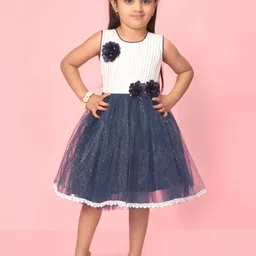 BAESD Girls Round Neck Self Design Net Fit and Flare Dress-picture-29