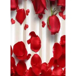 Aura White & Red Rose Up Down Printed Light Blocking Window Curtain image 2