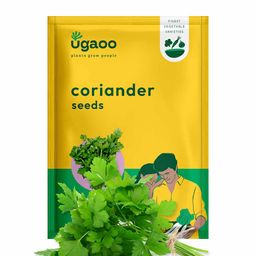 UGAOO Coriander Seeds-image-79