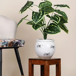 FOLIYAJ Green 1 Pieces Begonia Money Artificial Plant-image-90