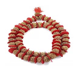 Divine souvenirs Brown Alloy Necklace-46