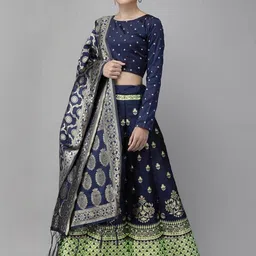 Mr Y Women Silk Lehenga Choli-picture-2