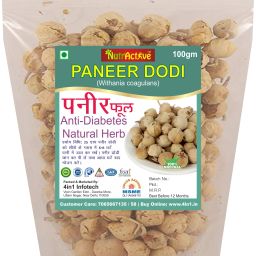 paneer dodi, paneer phul Seed-image-4