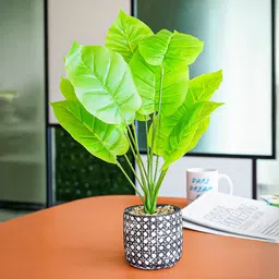 Ekhasa Green & White lily Artificial Flower With Cement Vase Pot-46