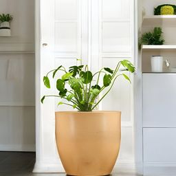 Go Hooked Brown & Green Pluto Shaped Durable Planter-3