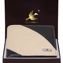 Hornbull Men Colourblocked Leather Two Fold Wallet-16