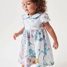INCLUD Girls Floral Printed Peter Pan Collar Puff Sleeve Fit & Flare Dress-image-58