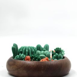 RANDOM Green & Brown Cactus Shaped Soy Wax Candle-picture-16