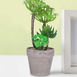 Ekhasa Green 1 Pieces Artificial Plant With Pot-image-50