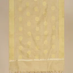 Dupatta Bazaar Ethnic Motifs Woven Design Dupatta image 5