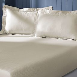 MASPAR Cream-Coloured Printed Pure Cotton 300 TC King Bedsheet Set 2.75 x 2.75 m-4