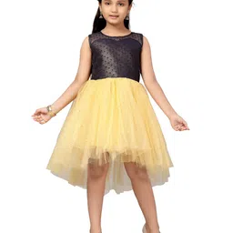 BAESD Embellished Net Fit & Flare Dress-picture-24
