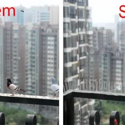 sigs Bird Spike image 2