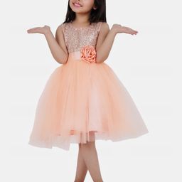 Wish little Net A-Line Dress-6