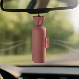 AuraCam Camphor Pods (1 Original + 1 Oudh) -Organic Camphor Cone Air freshener-3