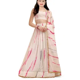 F Plus Fashion Net Semi-Stitched Lehenga Choli-image-42