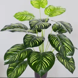 Go Hooked Artificial Monstera Plant with Nursery Pot Pack of 2 image 4