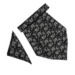 Paisley Design Cravats & Pocket Square Combo-image-99