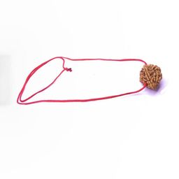 RAVIOUR LIFESTYLE Unisex Brown Pendant-image-83