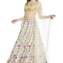 Payal Singhal Floral Embroidered Ready to Wear Lehenga & Blouse With Dupatta-45