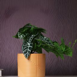 Myntra Elegant Homes Brown 1 Pieces Artificial Plant With Pot-image-98