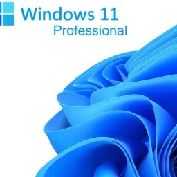 MICROSOFT Windows 11 Professional (1 User/PC, Lifetime Validity) OEM 32/64 Bit-13