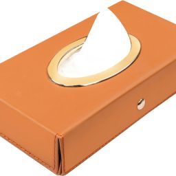 Royal Gold Tissue Box Leatherette Vehicle Tissue Dispenser-94